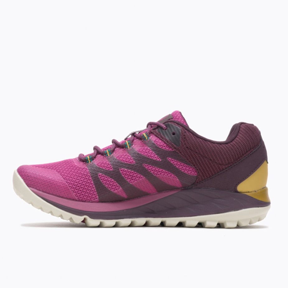 Női Antora 2 Gore-tex Fuschia Merrell