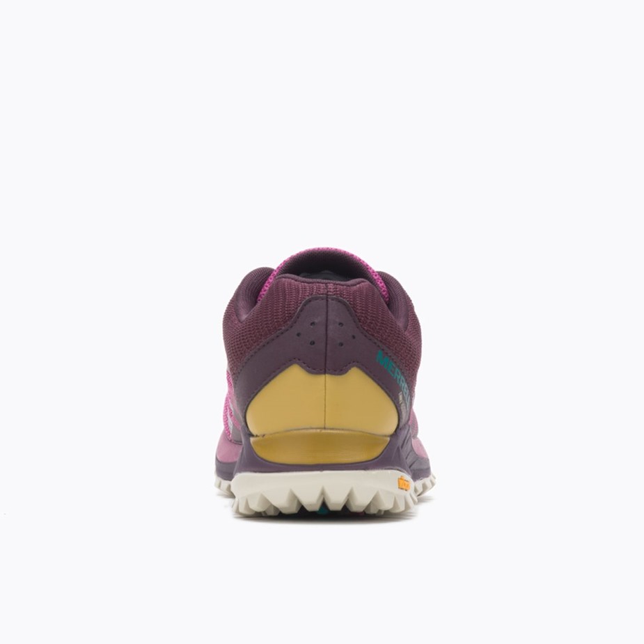 Női Antora 2 Gore-tex Fuschia Merrell